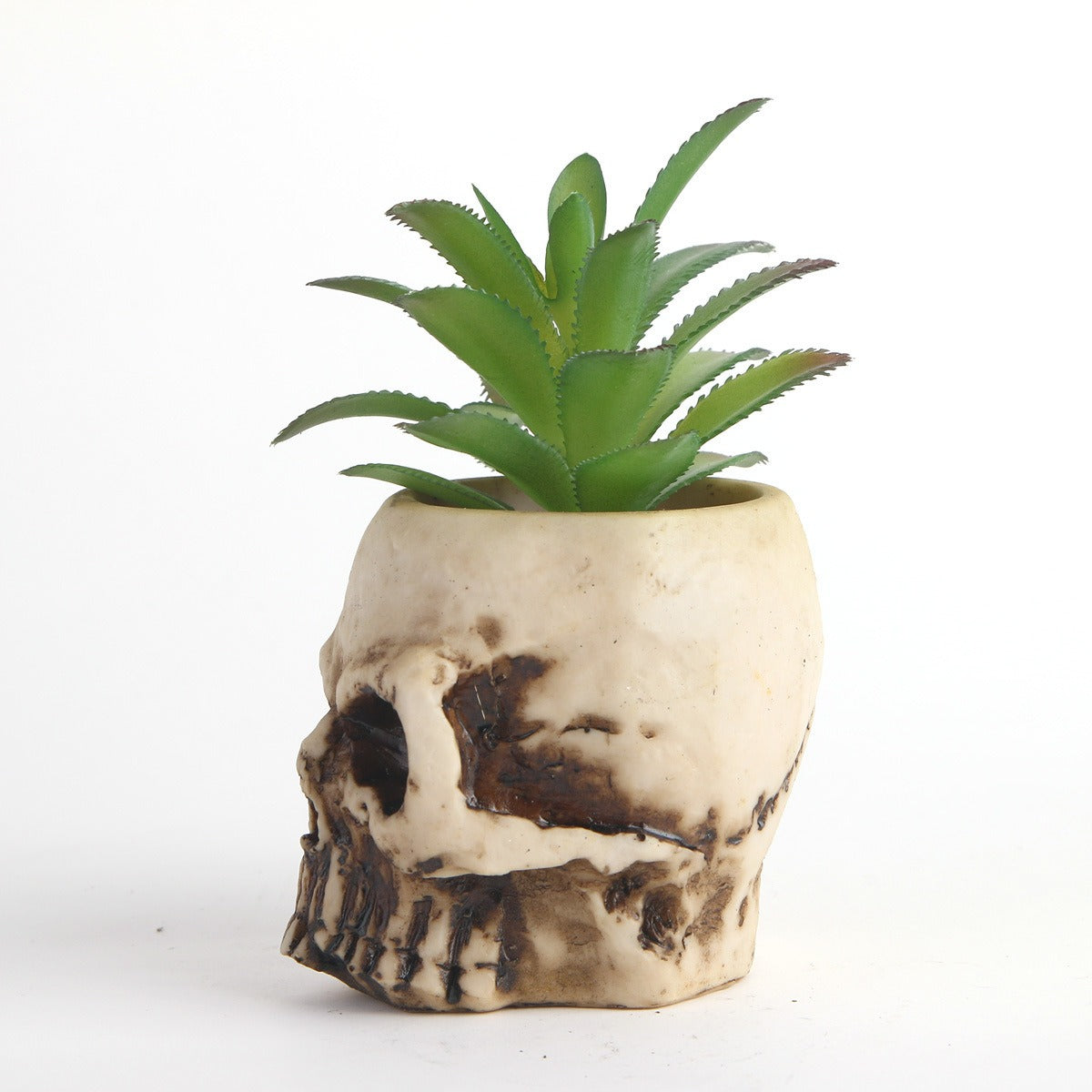 Skull Head Planter with Faux Succulent, Gothic Decor