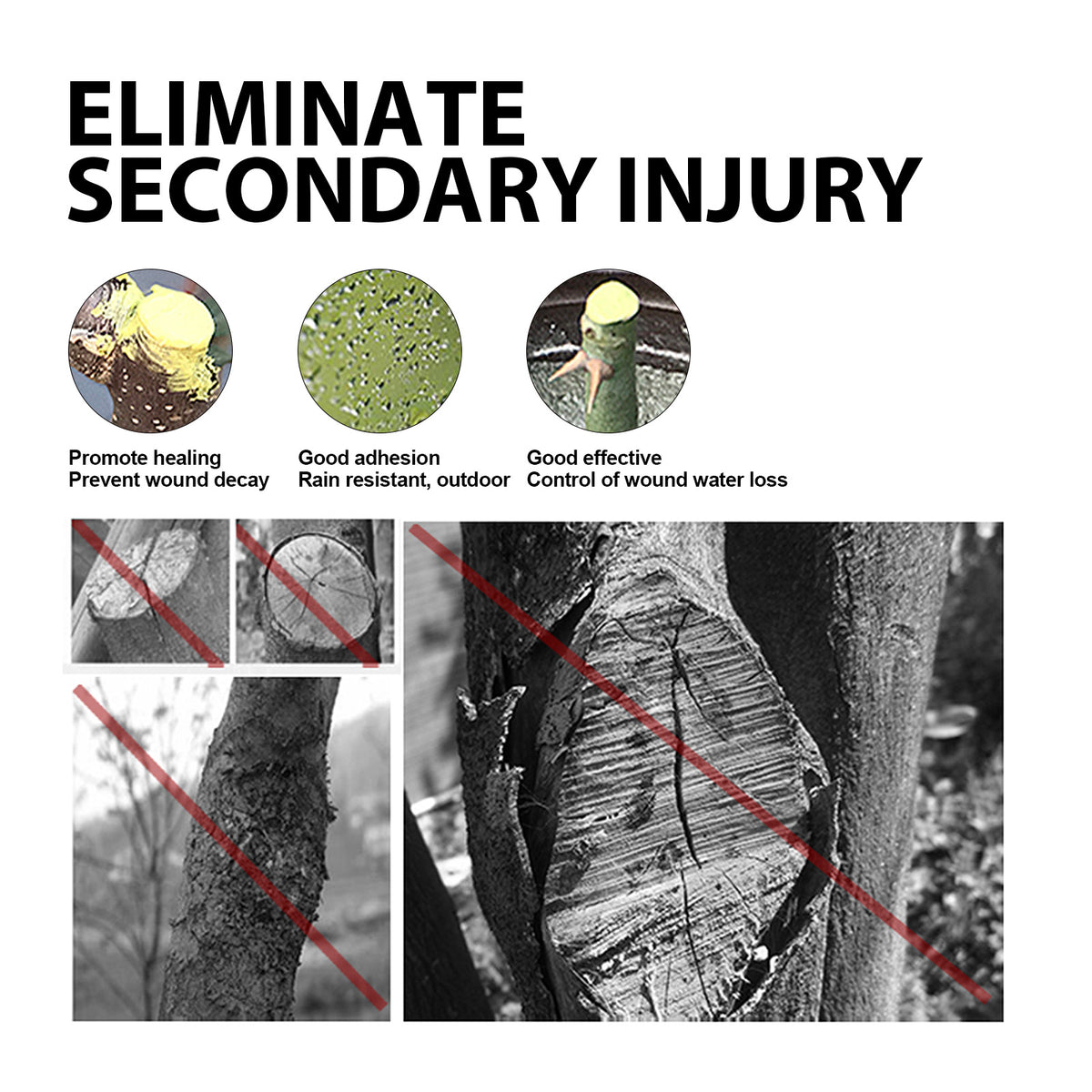 Tree Wound Dressing for Pruning, Grafting & Healing