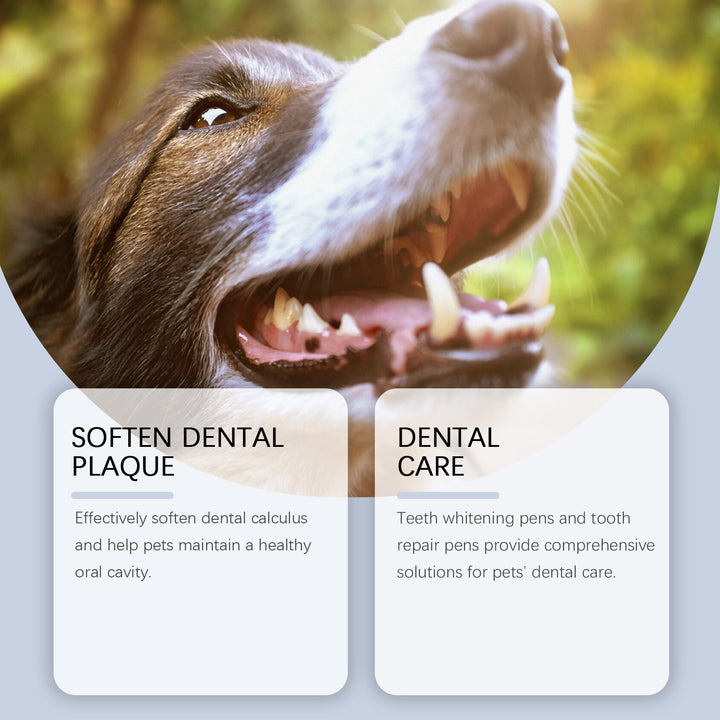 Pet Teeth Cleaning Pen Set for Whiter Teeth & Fresh Breath