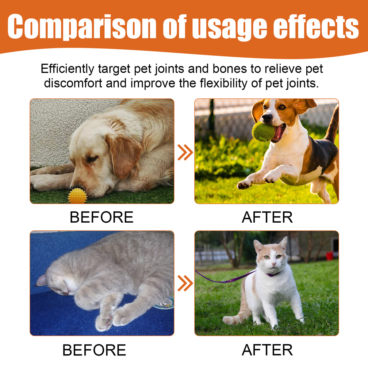 Pet Joint Care Oil for Daily Comfort & Flexibility