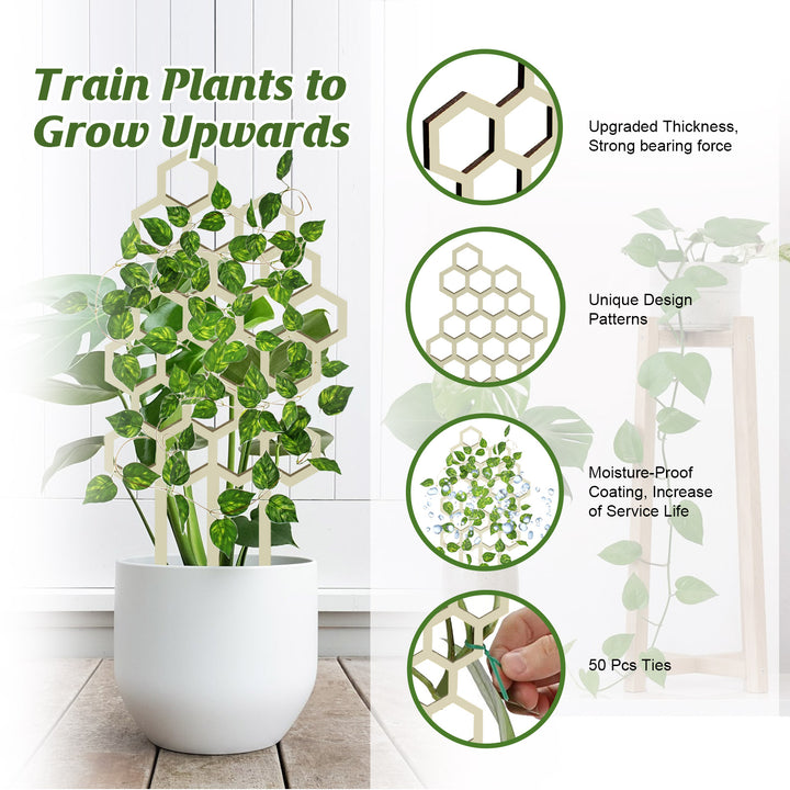 Wooden Plant Trellis Set for Climbing Plant Support
