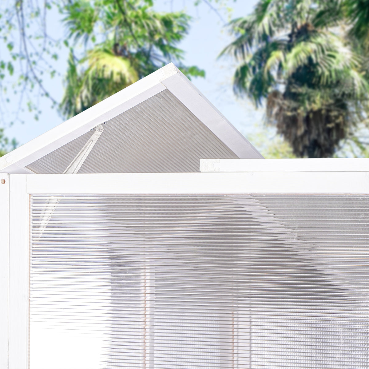 Heavy-Duty Walk-In Lean-To Greenhouse for Winter Gardening