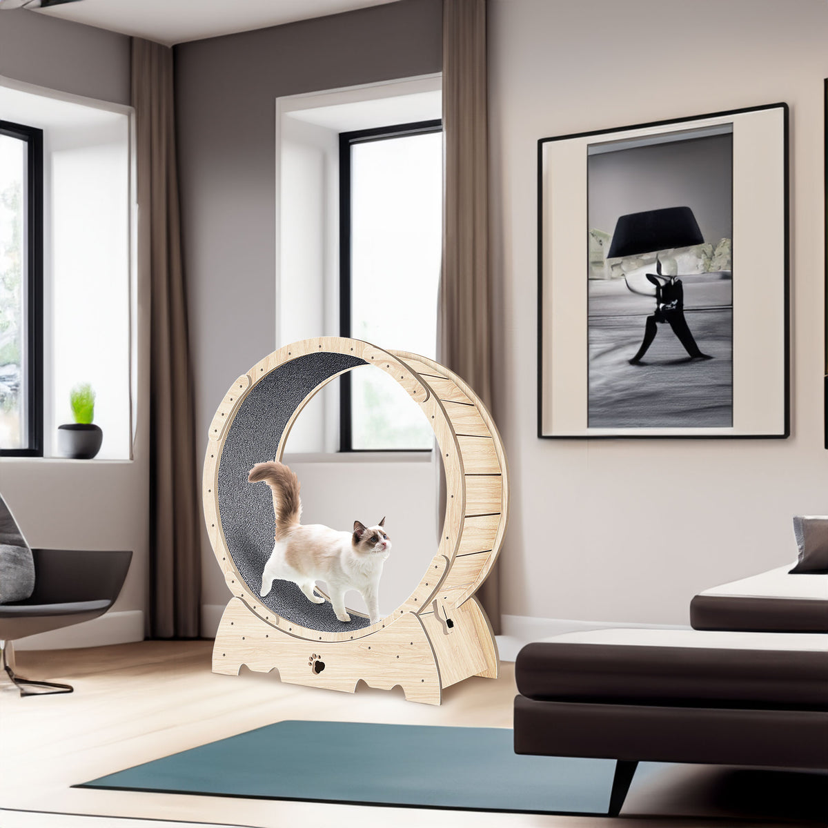 Cat Exercise Wheel for Safer Indoor Enrichment Play