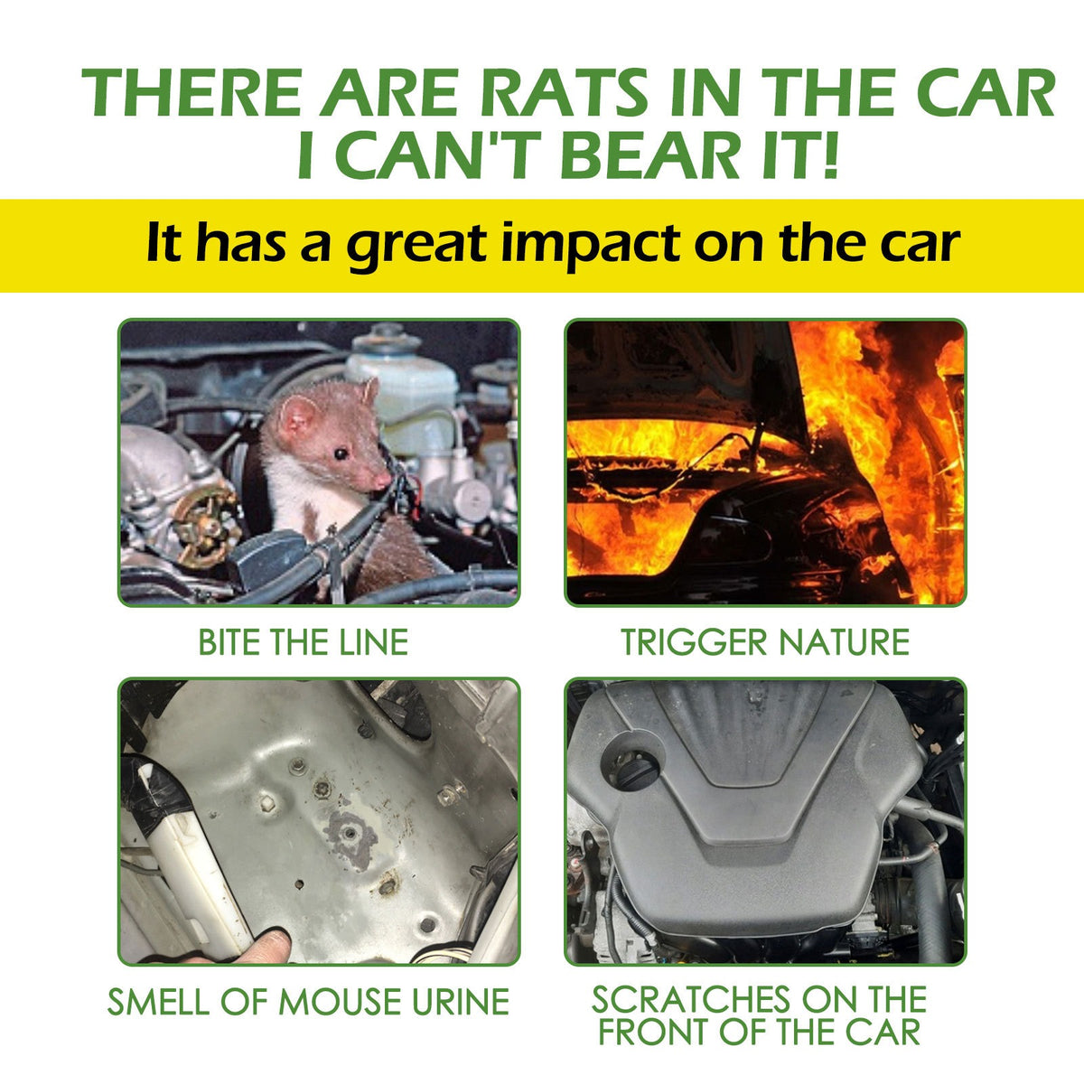 Plant-Based Rat and Mice Repellent Pills for Car and Home