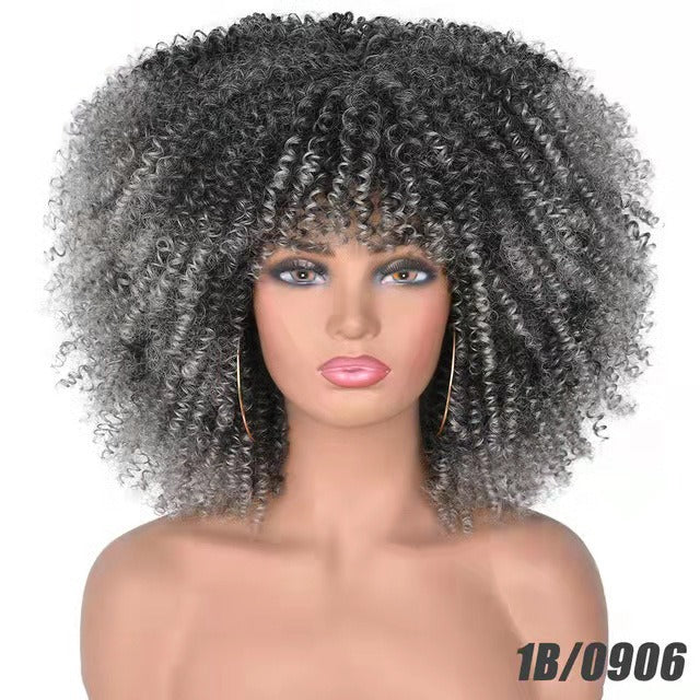 Small Curly Afro Wig for Instant Full-Volume Styling
