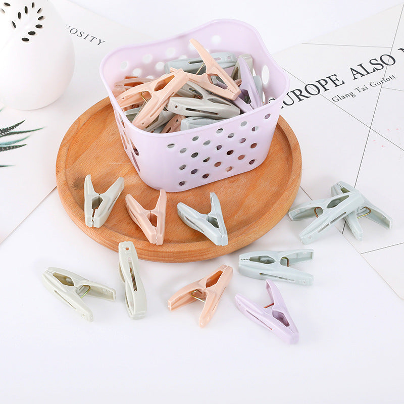 Metal Spring Laundry Clips 24 Pack With Storage Basket