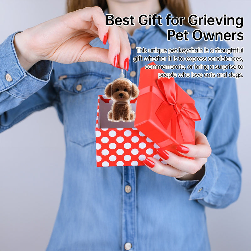 Pet Hair Memorial Keychain Box for Lasting Memories
