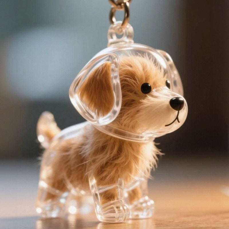 Pet Hair Memorial Keychain Box for Lasting Memories