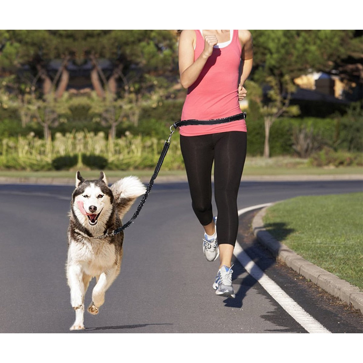 Hands-Free Dog Leash for Running, Walking & Jogging