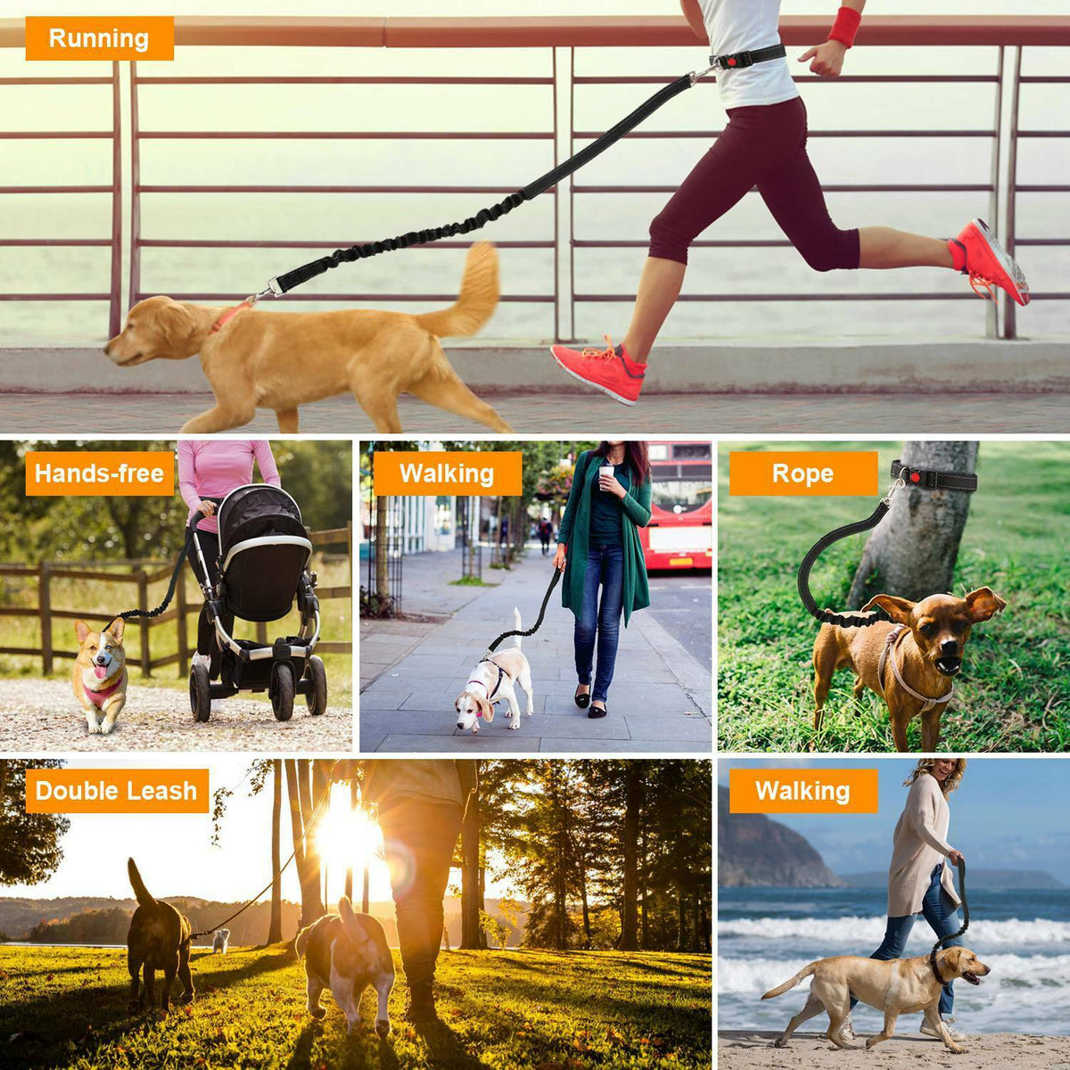Hands-Free Dog Leash for Running, Walking & Jogging