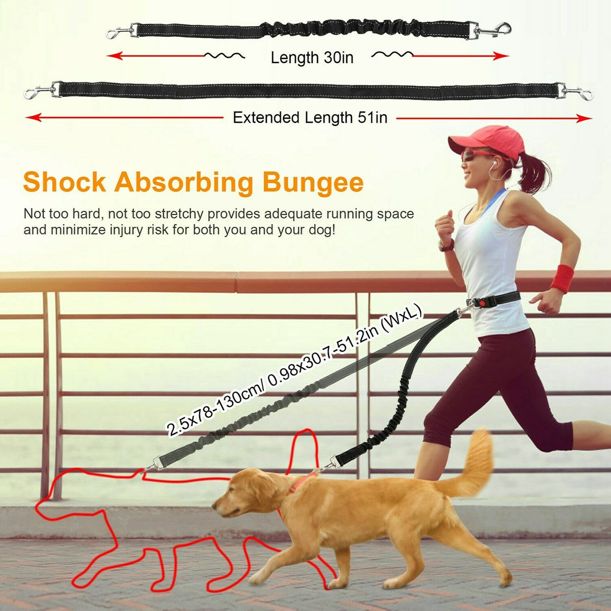Hands-Free Dog Leash for Running, Walking & Jogging