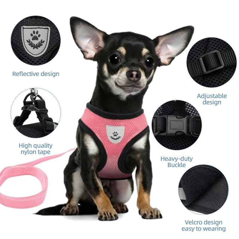 Adjustable Pet Harness Set for Small Dogs and Cats