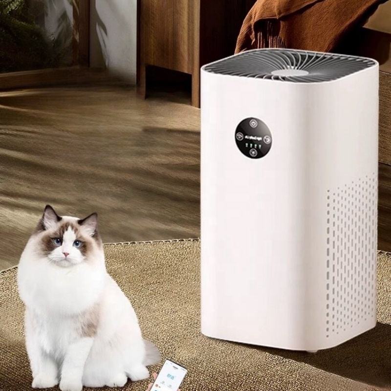 Household Air Purifier for Smoke, Odor & Stale Air