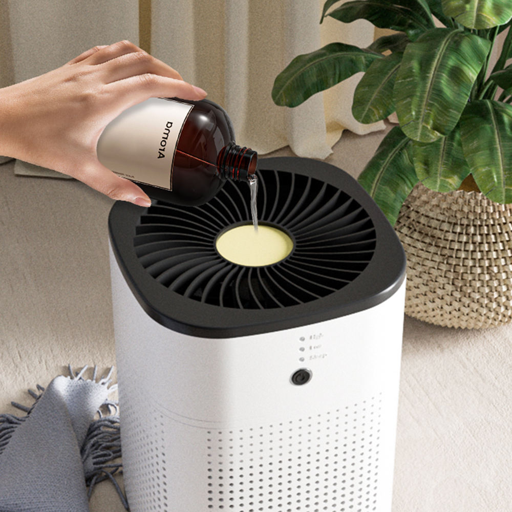 Desktop Air Purifier for Dust, Smoke & Household Odors