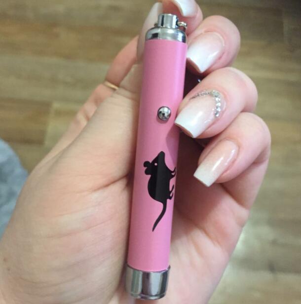 LED Cat Laser Pointer Pen with Mouse-Shaped Light
