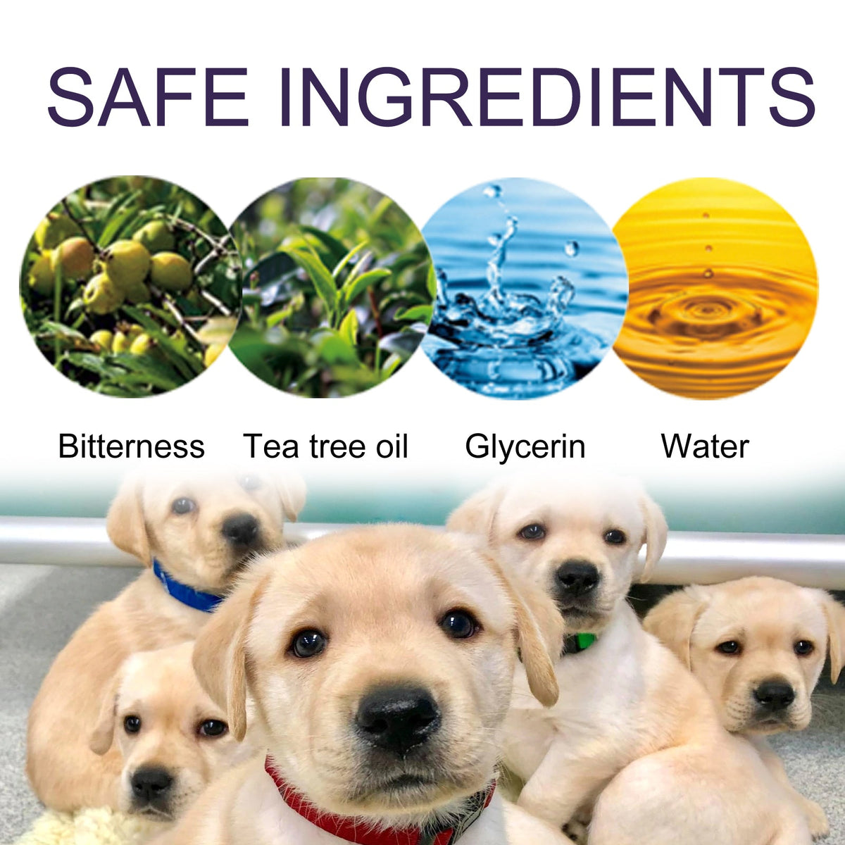 Pet Anti-Chew Bitter Spray for Dogs & Household Items