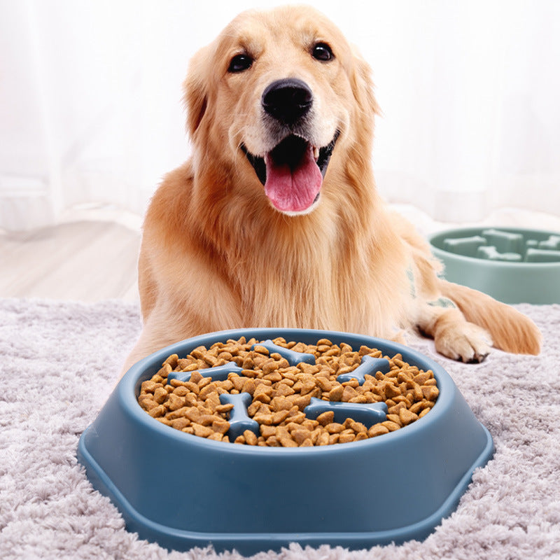 Slow Feeder Pet Bowl for Gobblers & Cleaner Mealtimes