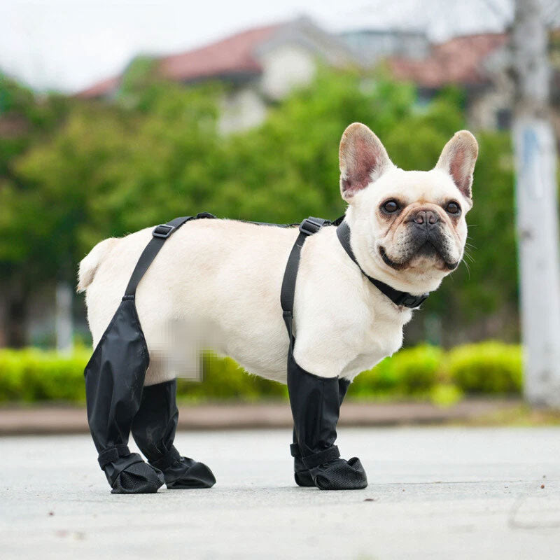 Dog Boots With Suspender Harness for Secure Walks