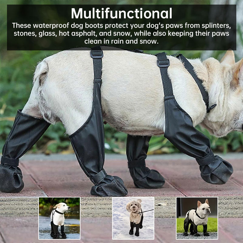 Dog Boots With Suspender Harness for Secure Walks