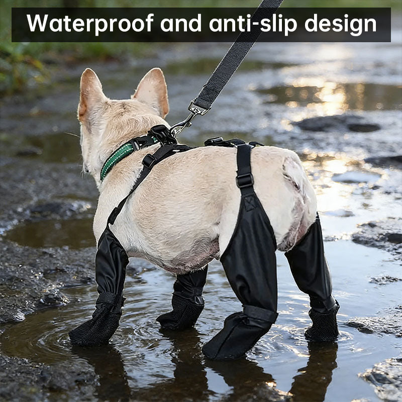 Dog Boots With Suspender Harness for Secure Walks