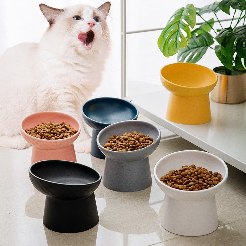 Anti-Tipping Cat Bowl for Stable Everyday Feeding and Water