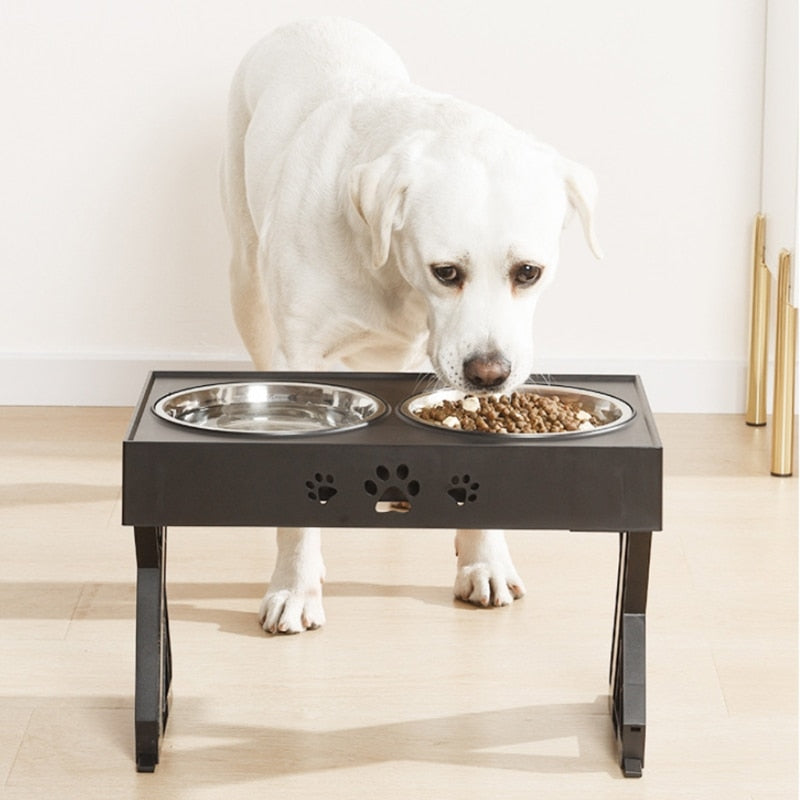 Elevated Double Dog Bowls for Tidy, Easy Feeding at Home