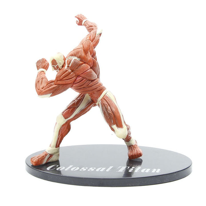 Colossal Titan Display Figure for Attack on Titan Fans