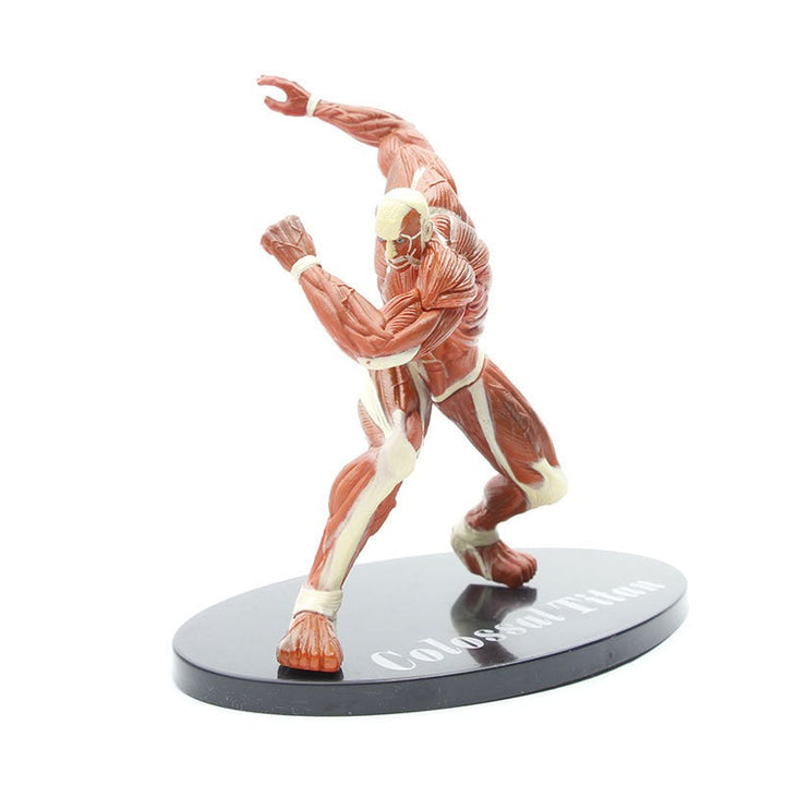 Colossal Titan Display Figure for Attack on Titan Fans