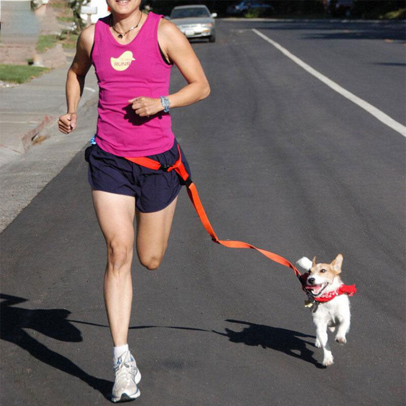 Hands-Free Dog Running Leash for Comfortable Jogging