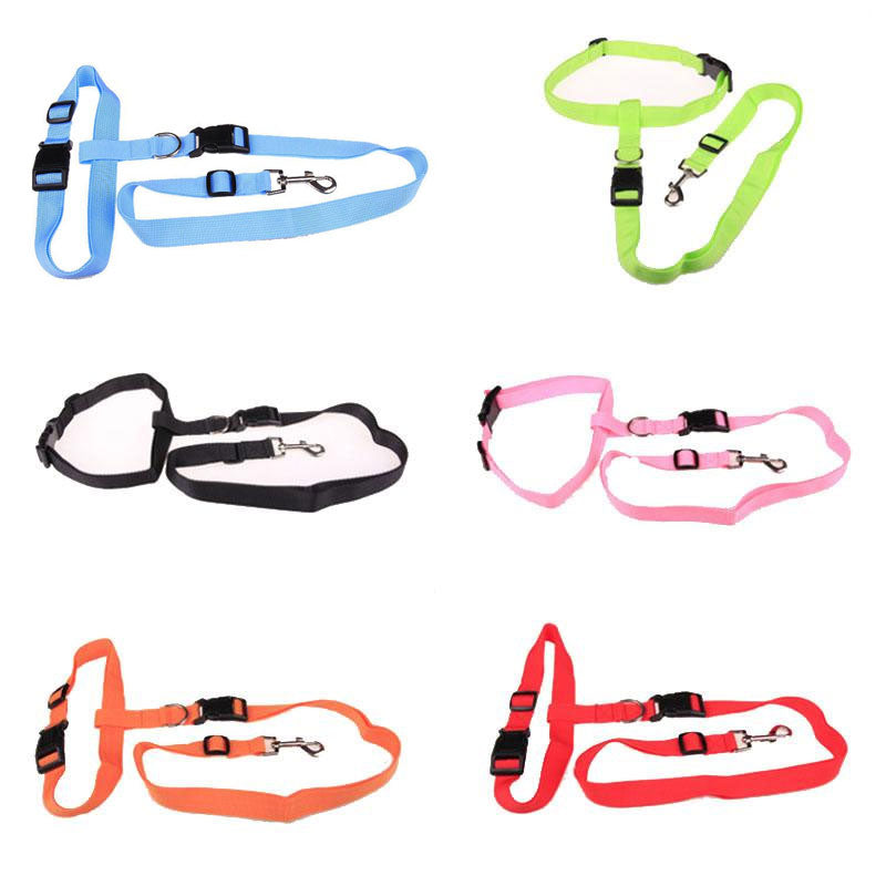 Hands-Free Dog Running Leash for Comfortable Jogging