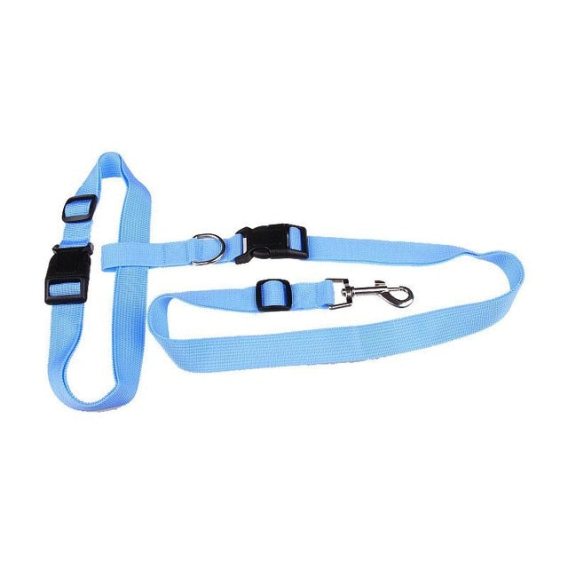 Hands-Free Dog Running Leash for Comfortable Jogging