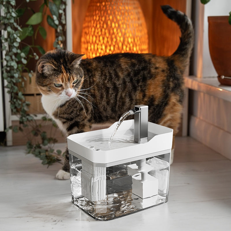 Automatic Cat Water Fountain with Filter, Cleaner Water