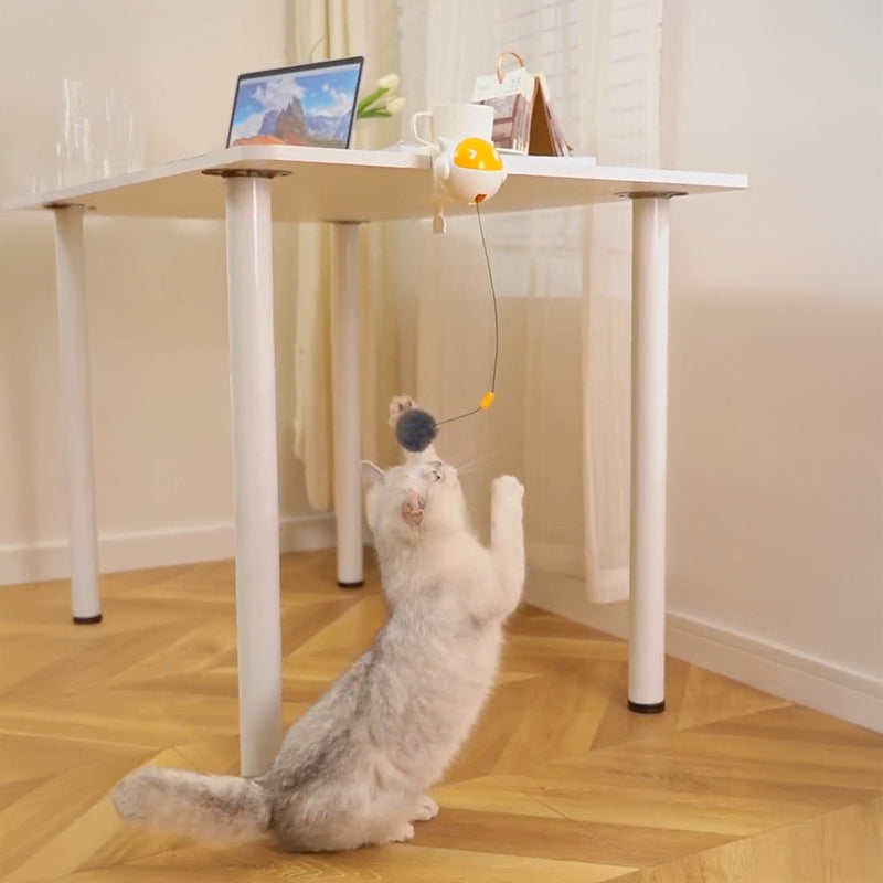 Automatic Interactive Cat Toy Ball for Hands-Free Play
