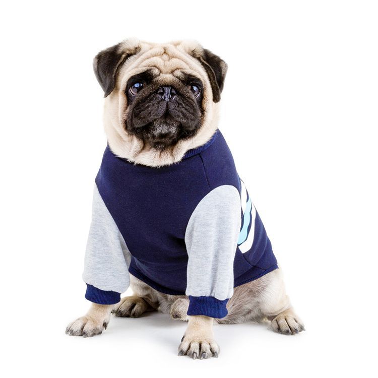 Dog Sweater for Warm, Stylish Autumn and Winter Walks