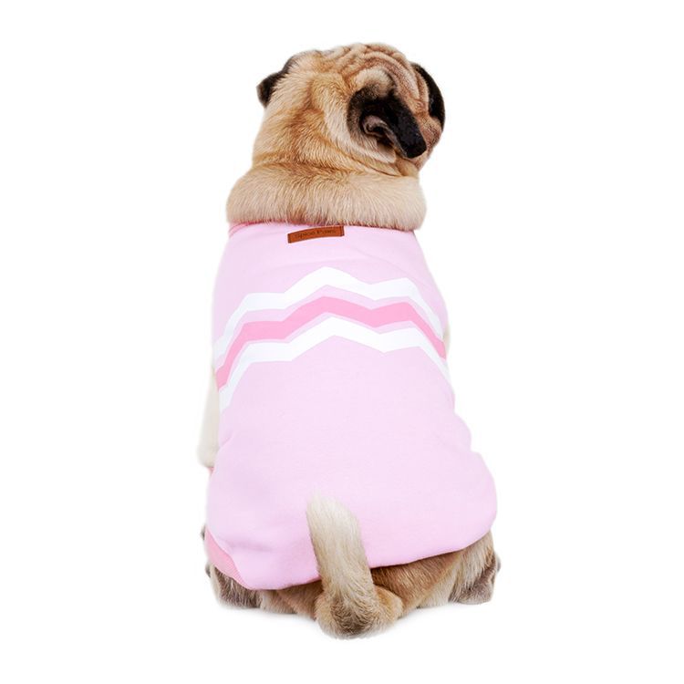 Dog Sweater for Warm, Stylish Autumn and Winter Walks