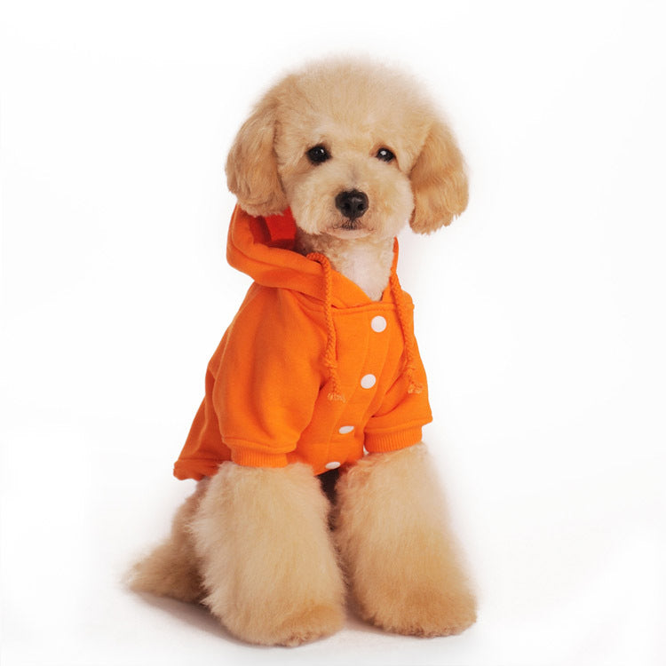 Small Dog Hooded Sweater Set for Cozy Autumn Walks