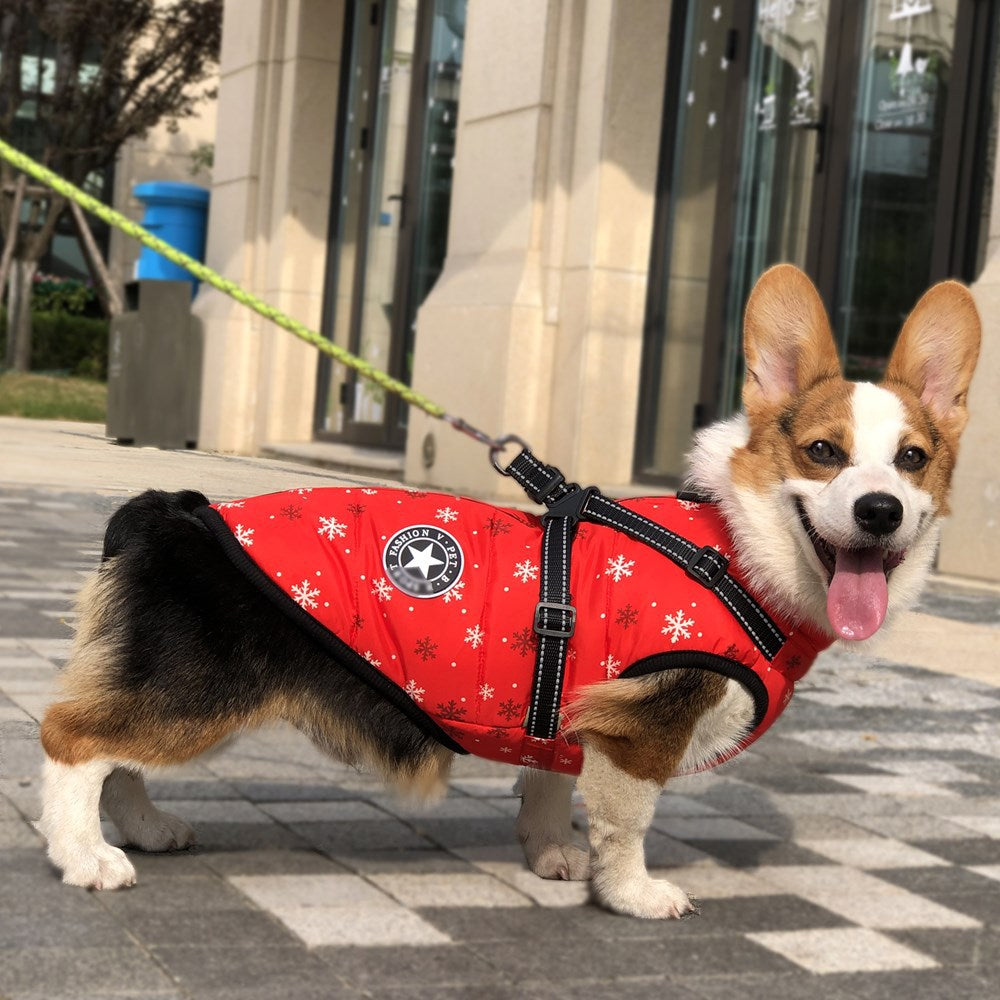 Dog Winter Coat for Warm, Festive Holiday Walks Outdoors