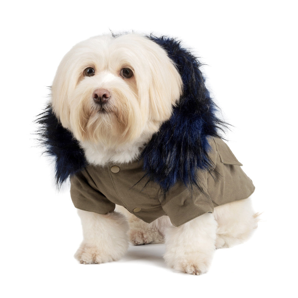 Dog Winter Coat With Faux-Fur Collar & Adjustable Fit