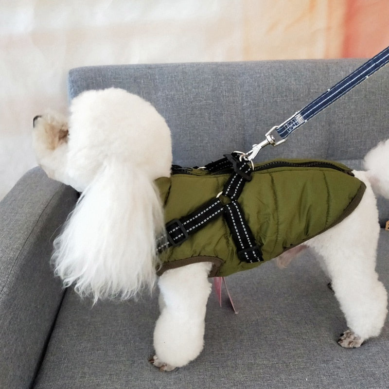Padded Dog Coat With Integrated Harness For Winter Walks