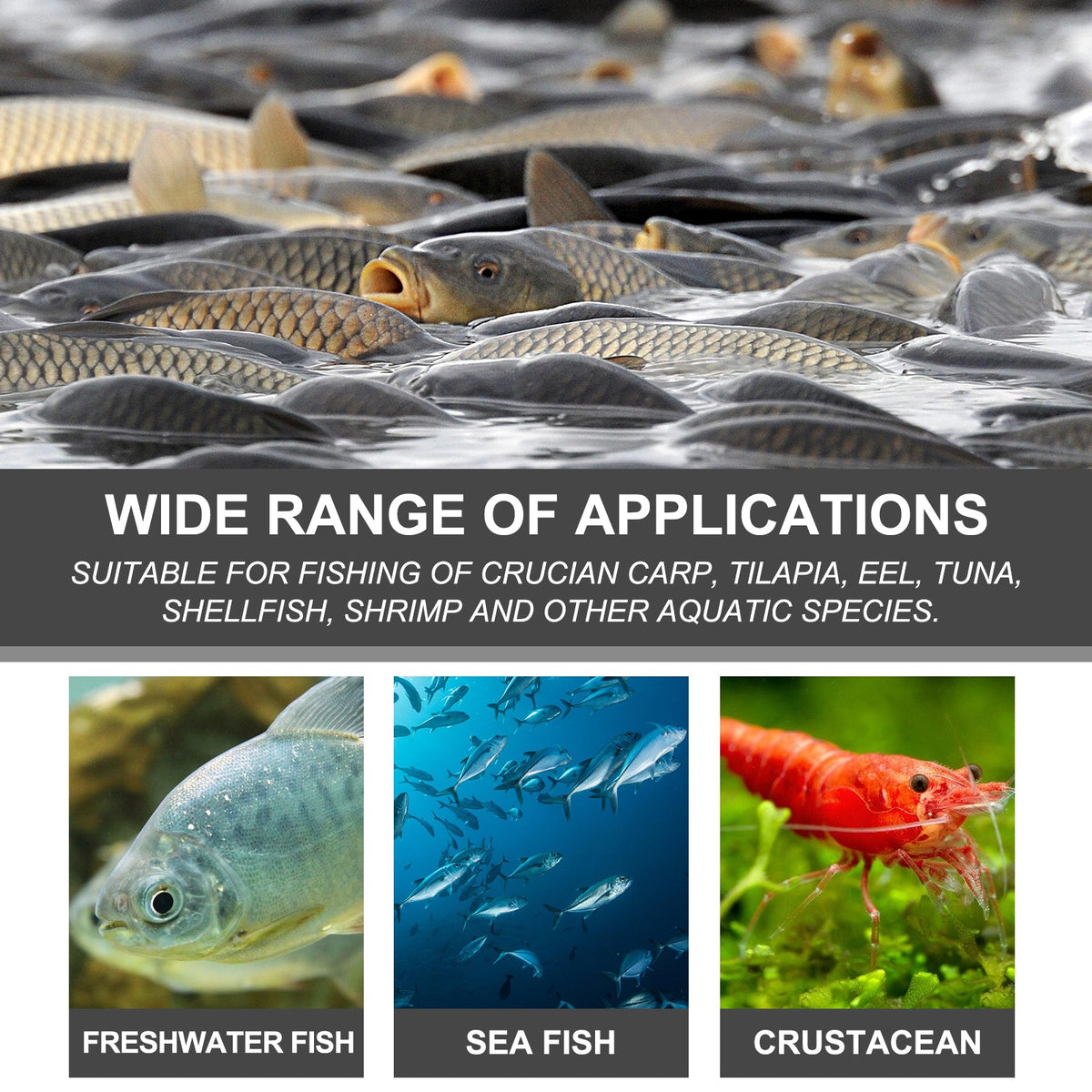 Fishing Bait Attractant Powder for Stronger Fish Scent