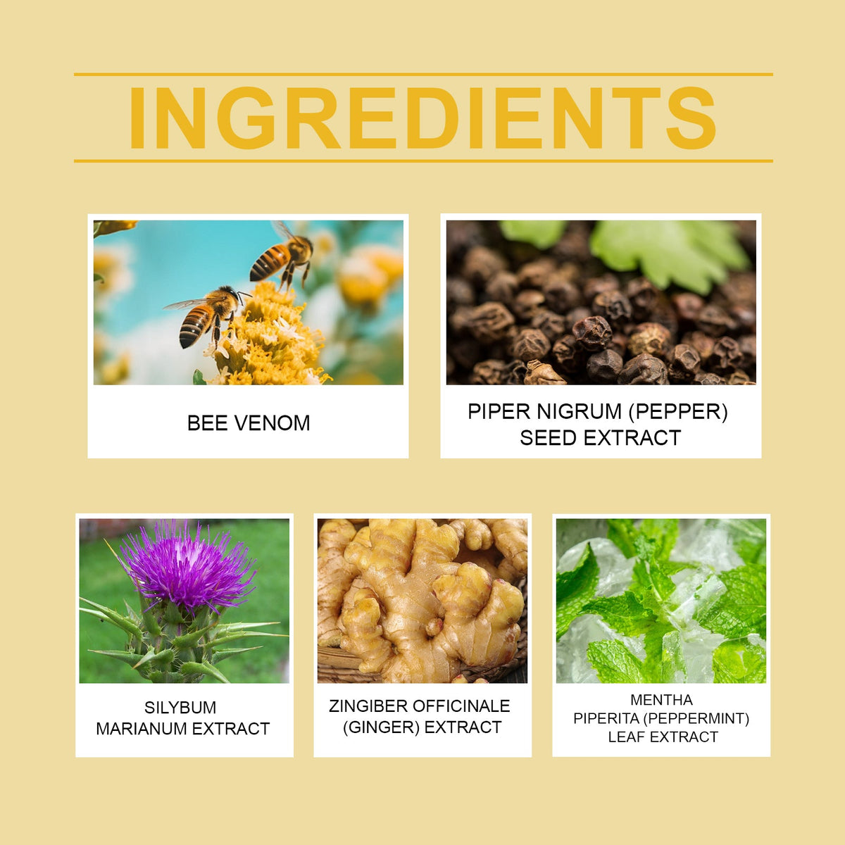 Bee Venom Body Shaping Patch for a Firmer-Looking Waist