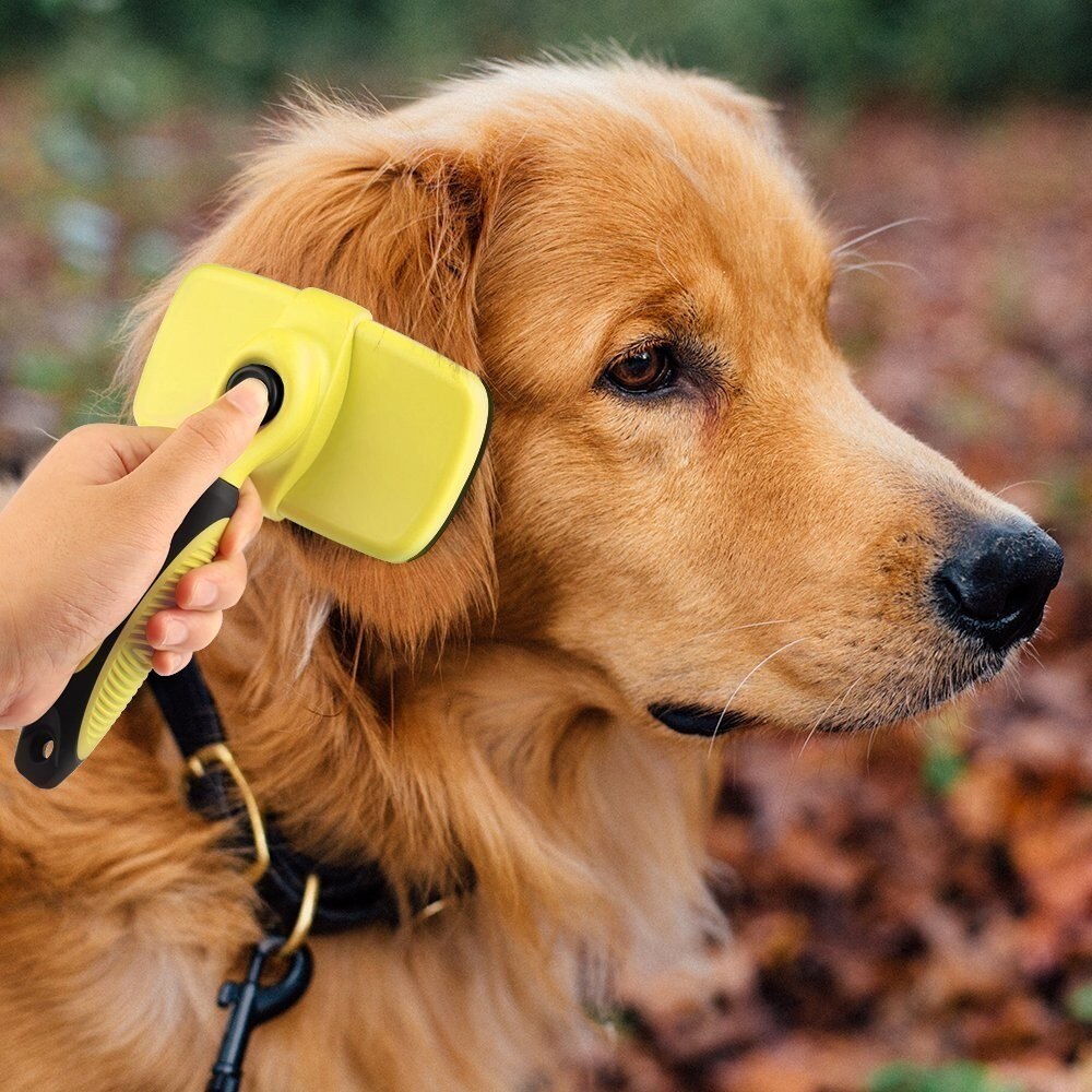 Self-Cleaning Dog Brush for Easy, Comfortable Grooming