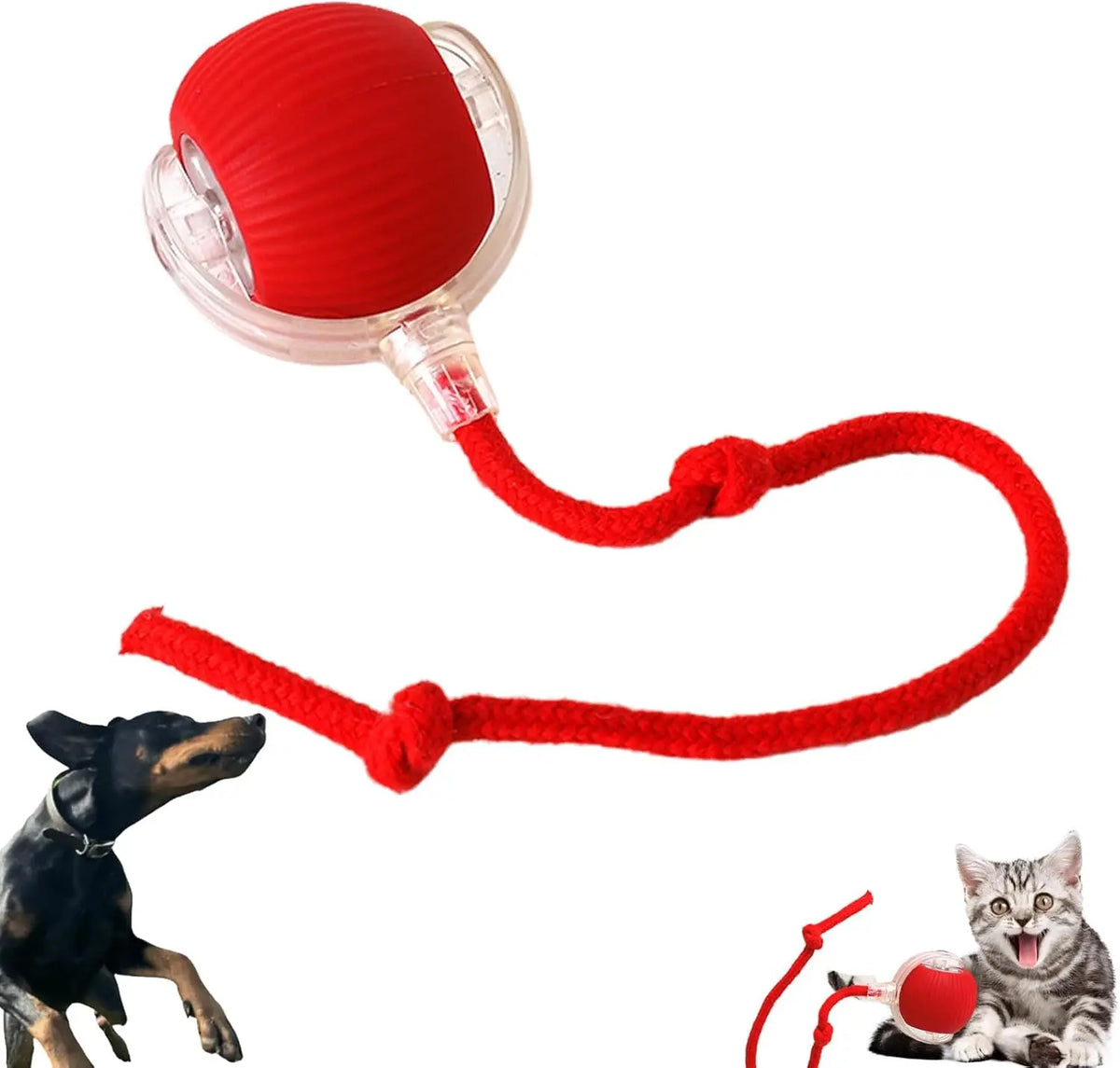 Interactive Cat Toy Ball for Independent Indoor Play