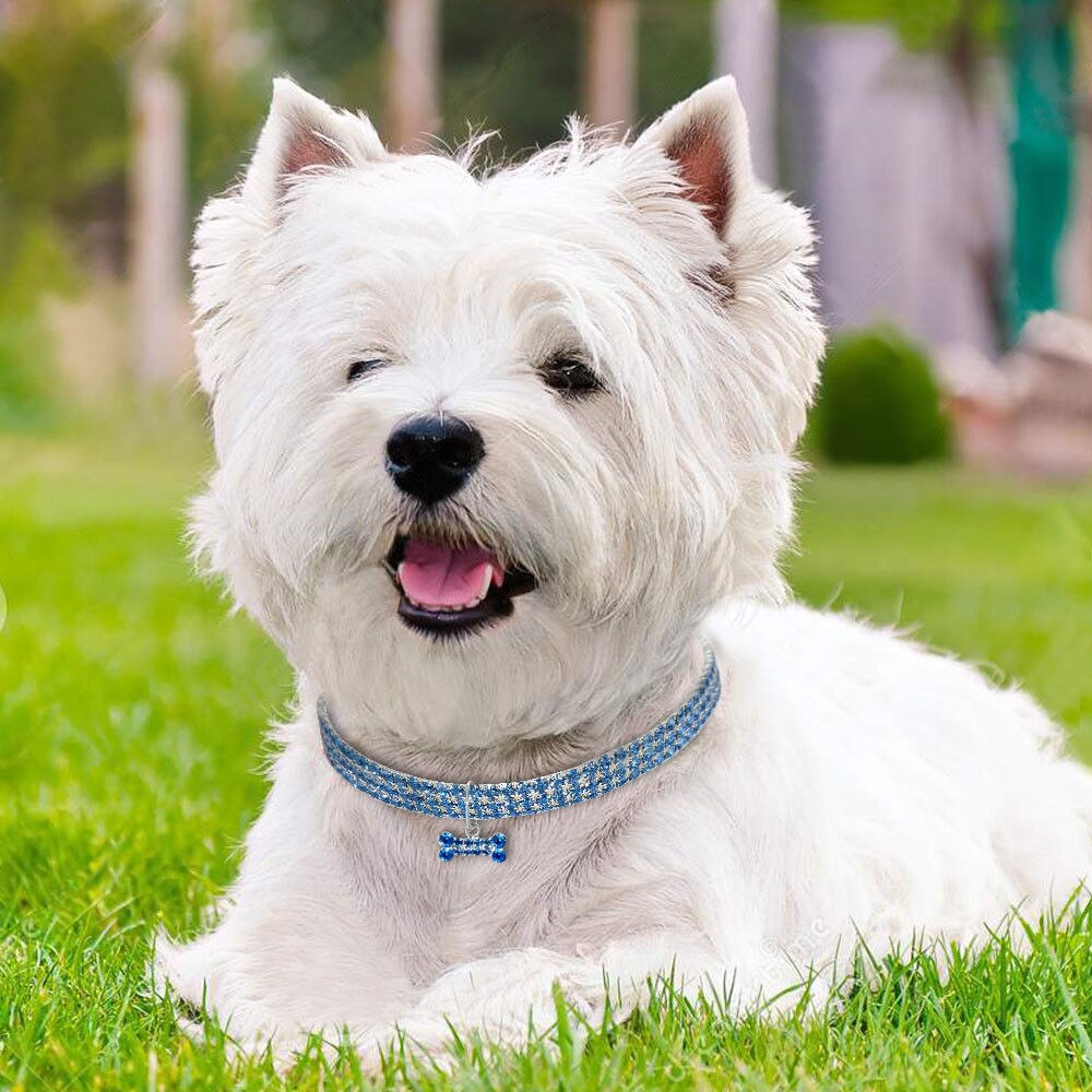 Rhinestone Pet Collar with Bone Charm for Small Pets