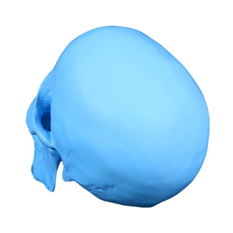 Blue Anatomical Skull Sculpture for Distinctive Decor