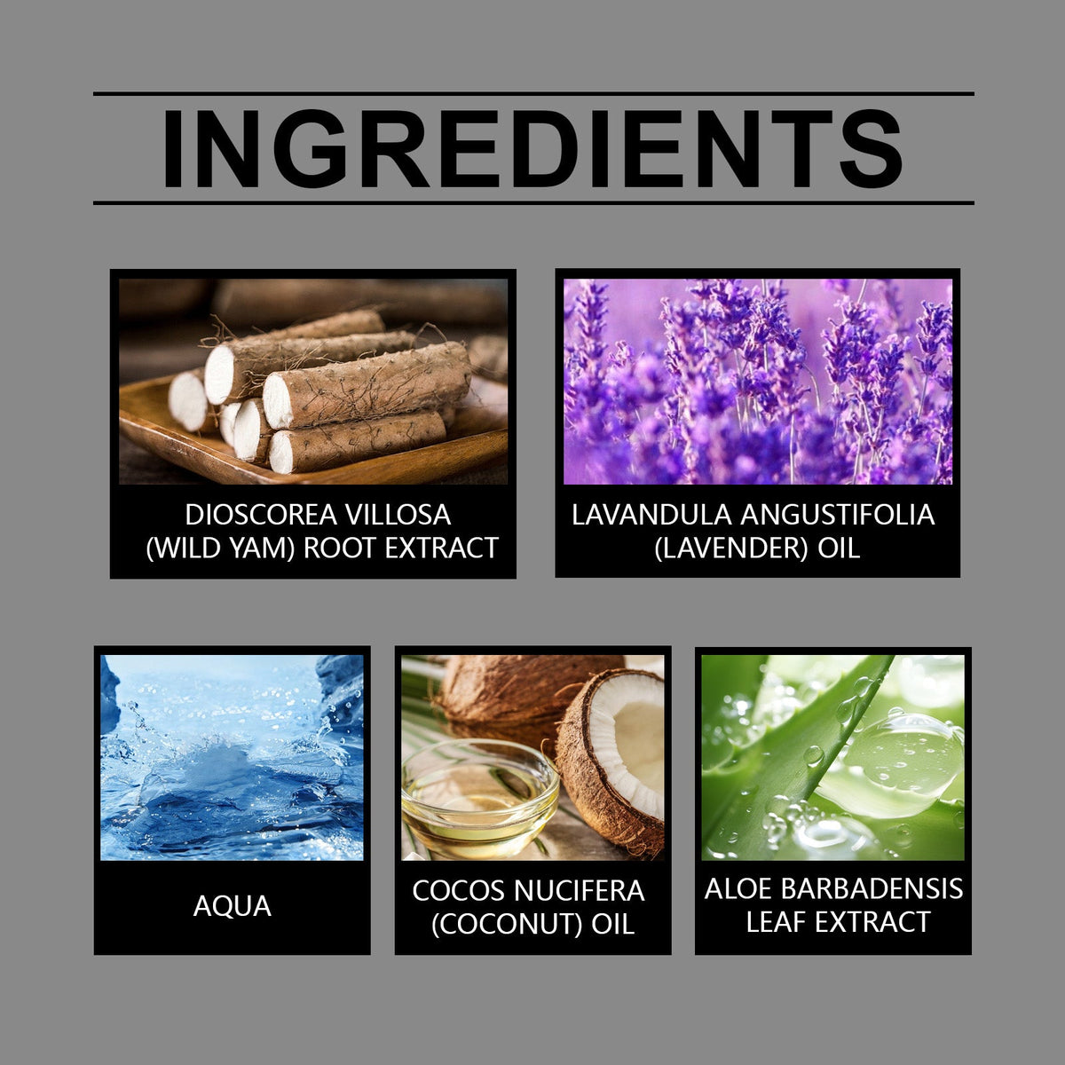 Wild Yam Body Moisturizer with Lavender and Coconut Oil