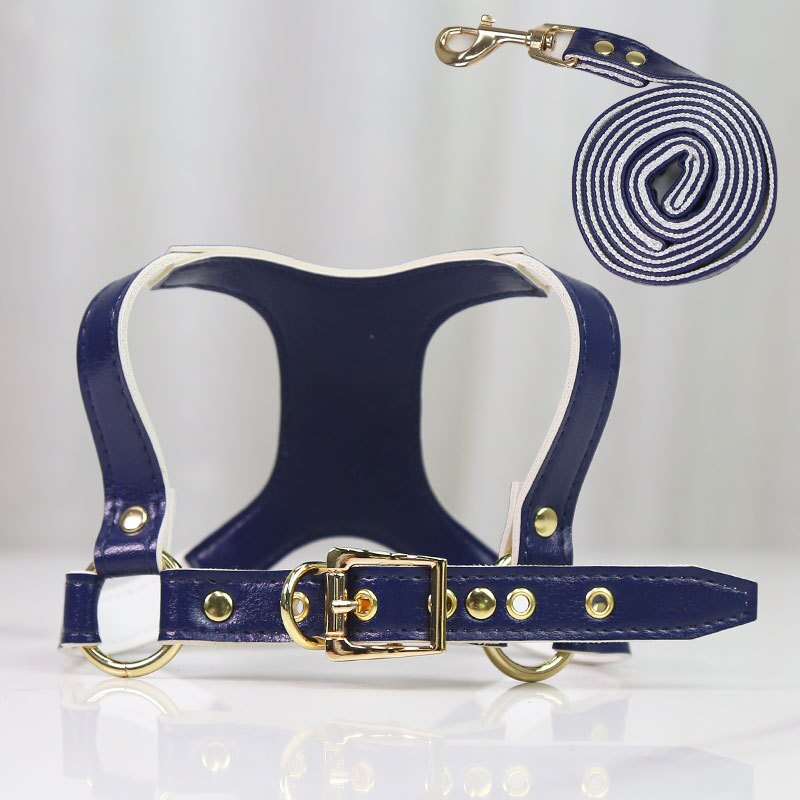Small Dog Harness and Leash Set for Stylish Walks