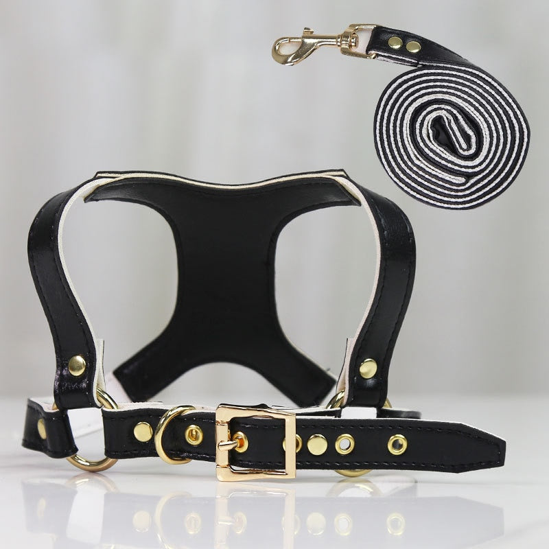 Small Dog Harness and Leash Set for Stylish Walks