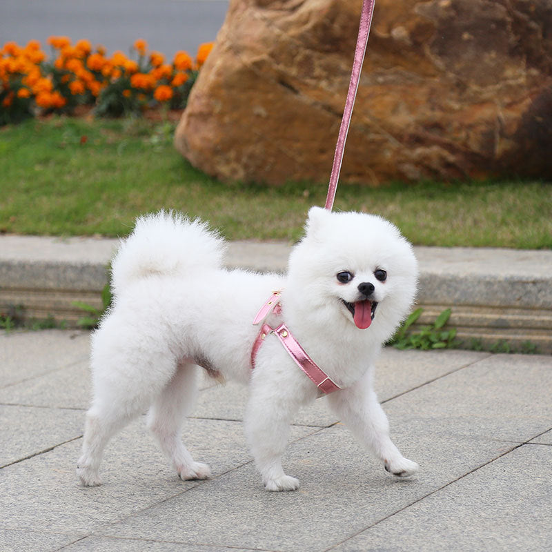 Small Dog Harness and Leash Set for Stylish Walks