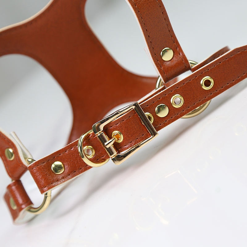 Small Dog Harness and Leash Set for Stylish Walks